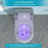 Smart Toilet with Bidet Built in, Auto Open & Close, Elongated Heated seat, Foot Sensor Flush, LED W1243P203356