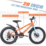 ZUN 20 Inch Kids Bicycles , Fat Tire Mountain Bike for Boys and Girls Age 5 + Years ,Dual-Disc W1019P203873