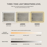 36 in. H LED Single Vanity Mirror in Polished Crystal Vanity LED Mirror for W2026P203669