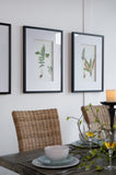 Set of 4 Botanical Black And White Fern Wall Art , Wall Decor for Living Room Dining Room Entryway, W2078130254