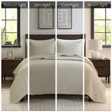 Queen 3 Piece Luxurious Oversized Quilt Set B035129011