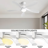 ZUN 52 Inch Modern Led Ceiling Fan With 3 Color Dimmable 5 ABS Blades Remote Control Reversible DC Motor W882P146902