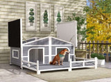 Dog House- Gray, White 13788203