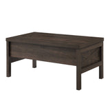 ZUN Walnut Coffee Table with Lift Top B062P186489