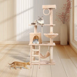 Cat Climbing Frame W1303127837