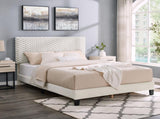 Findlay Plush 3D Upholstered Platform Bed in White Dove,Queen T2574P241782