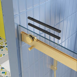 Bypass shower door, sliding door,soft close system, with 5/16" tempered glass and Brushed Gold W2122P225213
