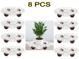 8 Pcs Heavy-Duty Clear Plant Caddy with Wheels, Rolling Flower Pot Stand 11.8" Inner 13" Outer 16698451