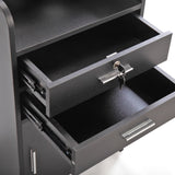 Salon Styling Station with 2 Drawers, 2 Hair Dryer Holders and 1 Cabinet, Black W2181P155877