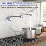 Pot Filler Faucet - Wall Mount Kitchen Sink Faucet Folding Stretchable with Single Hole Two Handles, W1243P324203