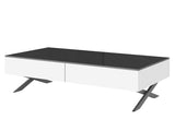 Rectangular Mirror Coffee Table for Living Room with Storage and Metal Base, 2 drawers, Black High N735P350387B
