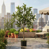 Artificial Tree Christmas Potted Fake Plant Natural Green Tree for Holiday Living Room Office Home 98112458