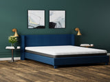 Omne Fria 8 Inch Twin XL Firm Mattress With Cooling Cover B047P316871