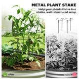 Garden Bed Galvanized Planter 43618697