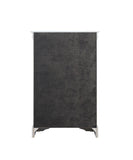 Platinum 5-Drawer Chest with Metal Handles B062P209039