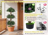 51" Artificial Boxwood Topiary Tree with 59 Flowers, Realistic Faux Evergreen Plant - Purple 34343243