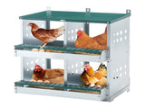 4 Compartment Chicken Nesting Boxes, Metal Nesting Boxes Wall Mount Chicken Egg Laying Box for W1422P292939