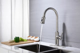 Kitchen Faucet with Pull Down Sprayer W2287P321790