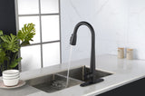 Single Handle Stainless Steel Kitchen Sink Faucet with Pull Down Sprayer W2287P354614