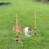 Dog agility training equipment 67593441