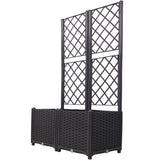 Poly Rattan Brown Trellis Raised Bed with Drainage Plug - 2 Removable Pots with Large Flower Boxes W465P187526