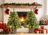 4ft Pre Lit Artificial Christmas Tree Set of 2 Xmas Pine Trees Dual Color LED Remote Green 72719239