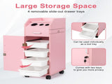 Hair Salon Storage Cart with Wheels & 3 Hair Dryer Holders & 4 Drawers & Lock & 2 Keys, Hairdressing 44313324