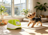 Automatic Dog Ball Launcher, 5 Balls Included, 3 Distance Settings , for Small & Medium 18798304