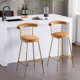 ZUN Bar Stool Set of 2, Luxury Velvet High Bar Stool with Metal Legs and Soft Back, Pub Stool Chairs W117071316