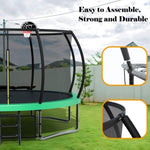 ZUN 12FT Recreational Kids Trampoline with Safety Enclosure Net & Ladder, Outdoor Recreational W1163P164306