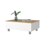 ZUN Boston Lift Top Coffee Table B128P148668