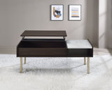 Carrie - Lift-Top Coffee Table - Brown B081P157739
