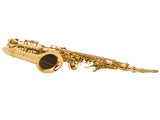 Alto Drop E Paint Gold Saxophone Paint Gold 25180517