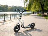 Lightweight Kids Scooter with Adjustable Handlebar Rear Brake Kickstand 12 Inch EVA Wheels for 5-12 72586905