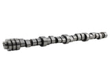 MDS Lifters Camshaft Kit fit for 11-19 Challenger Charger Cherokee 6.4L Jeep Grand 30579652