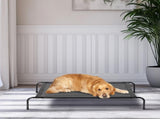 50"D x 31"W x 8"H Dog Bed 38216392