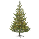 6ft Christmas Trees 85641704