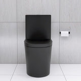 Matte Black Elongated One Piece Toilet Dual Flush 1.1/1.6 GPF Water Saving Map 1000g,Matte Black W2826P192009