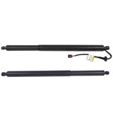 Lift Cylinder LeftRight Fit for Hyundai Tucson Sport Utility 1.6L 2.5L L4 2022-2024 4-Door 05095474