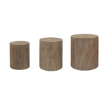 ZUN Set of 3 Nautral Wood Coffee Table with clear and visible tree rings W2729P199132