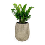 ZUN 17.3" Self-watering Wicker Planter - Garden Decoration Pot - Beige - Round B046P144672