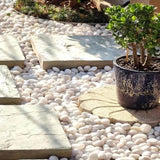 38lbs Decorative Garden Stone Outdoor Landscaping, Walkways, Yard, 1-3 inch Large Polished River W3280P296565