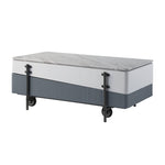 ZUN Grey and White High Gloss Coffee Table with Lift Top B062P209130