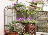 2 Pack 16" x 61" Rustproof Iron Garden Trellis 19656010