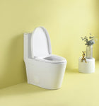 ZUN 1.1/1.6 GPF Dual Flush One-Piece Toilet, Elongated Bowl with Soft Close Seat, Water-Saving MAP W1573101058