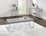 ZUN Natural Oak and Chrome Coffee Table with Metal Sled Base B062P189174