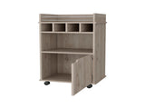 Macadamia 1-Door Bar Cart B062P175049