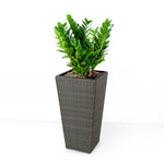 ZUN 2-Pack Self-watering Planter - Hand Woven Wicker - Square - Expresso B046P144638