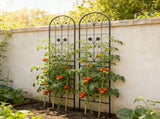 2 Pack Metal Garden Trellis 86.7" x 19.7" Rustproof Trellis for Climbing Plants Outdoor Flower 49809583