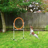 Dog Agility Training Equipment 70892126